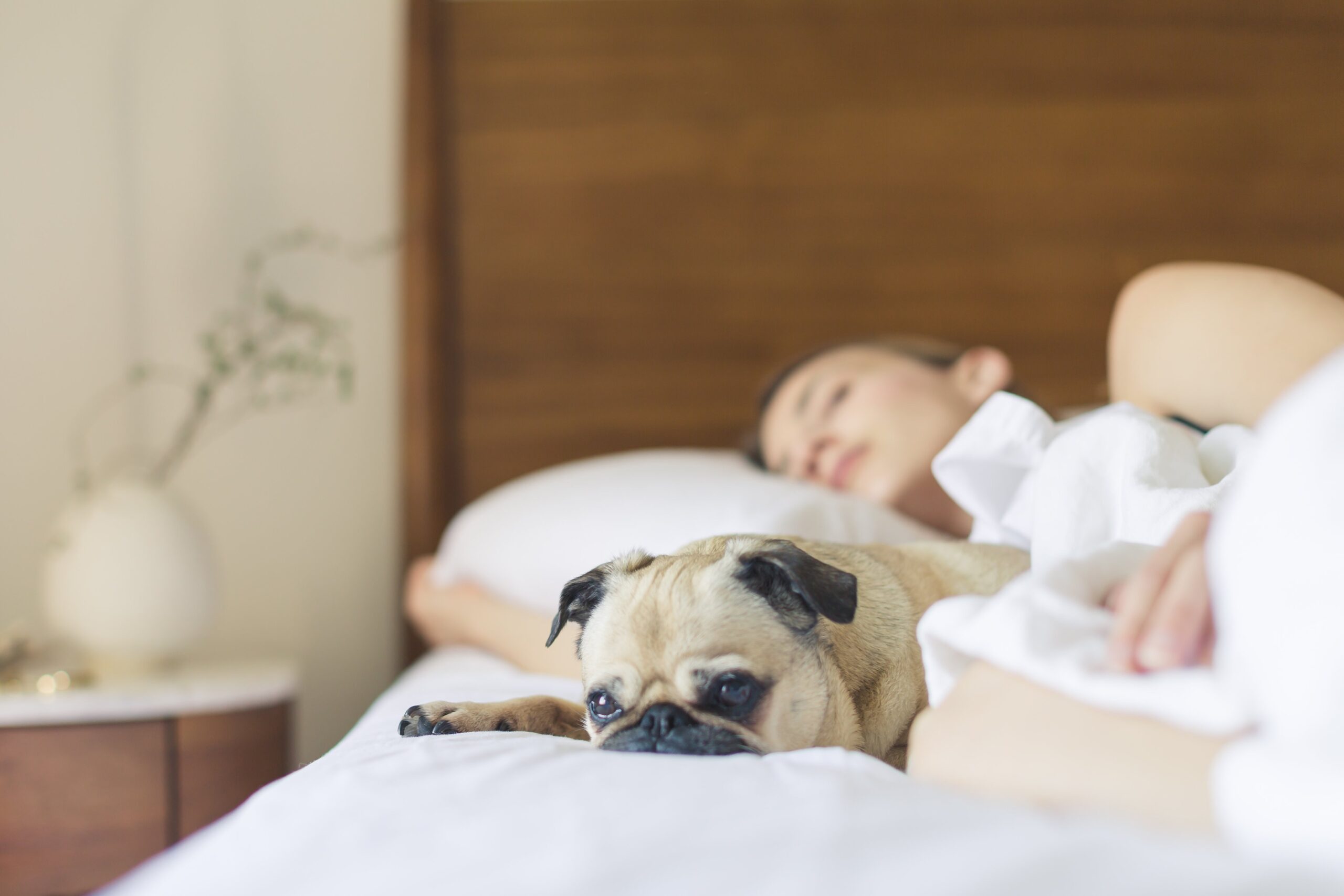 smart bed