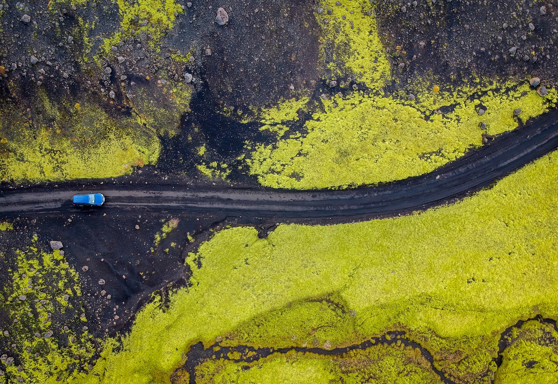 auto nel verde
