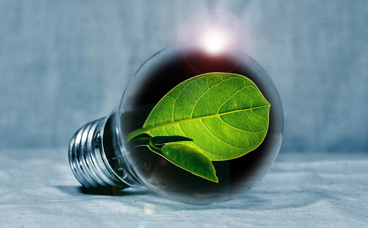 premio impresa ambiente