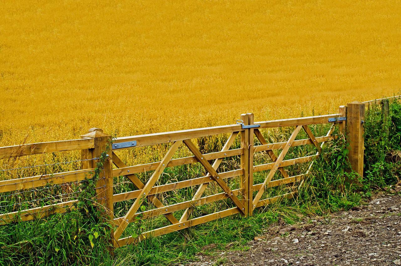 bonus per le imprese agricole