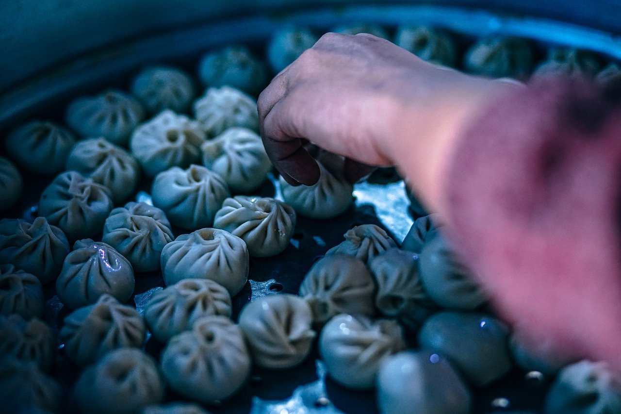 dumplings g63176410f 1280 | F-Mag La guerra dei palati a Taiwan: la Cina si arma ma l'ironia corre sul web