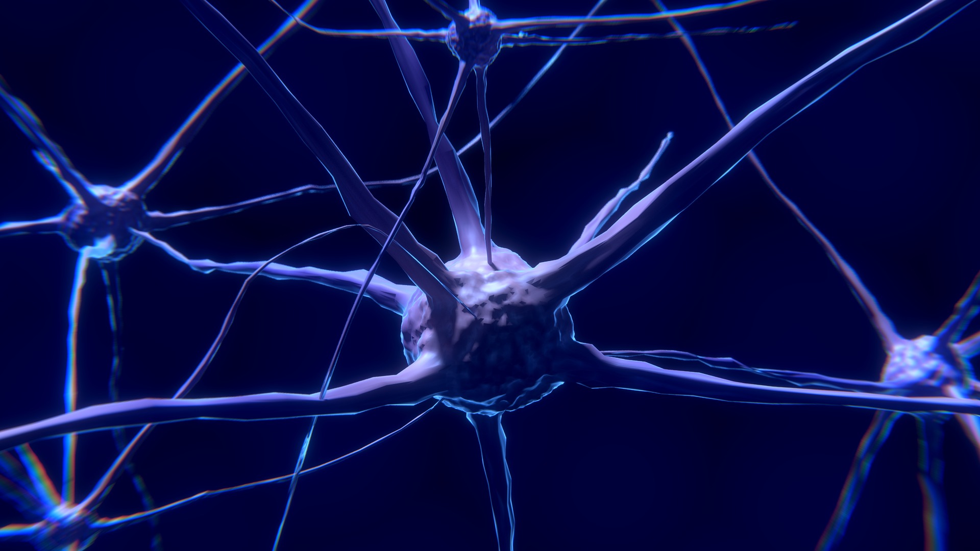 Neuroni della ricompensa