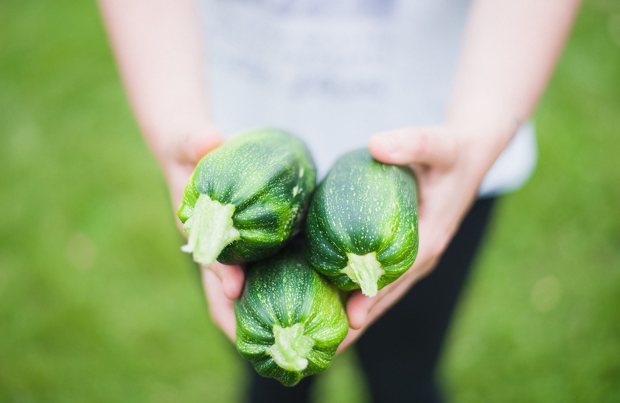 foodseed