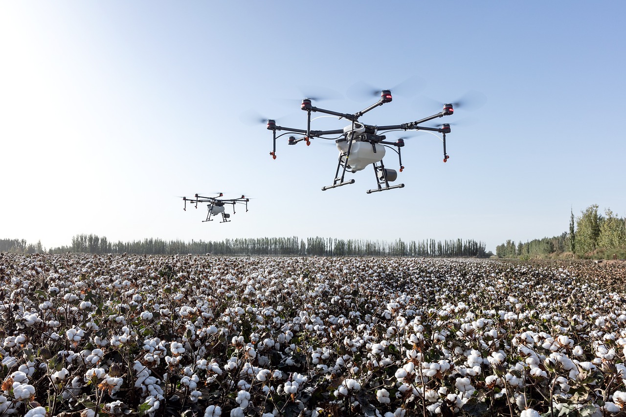 agriculture 4208863 1280 | F-Mag L'agricoltura si fa tech: sensori in campo e intelligenza artificiale, eccellenza Emilia Romagna